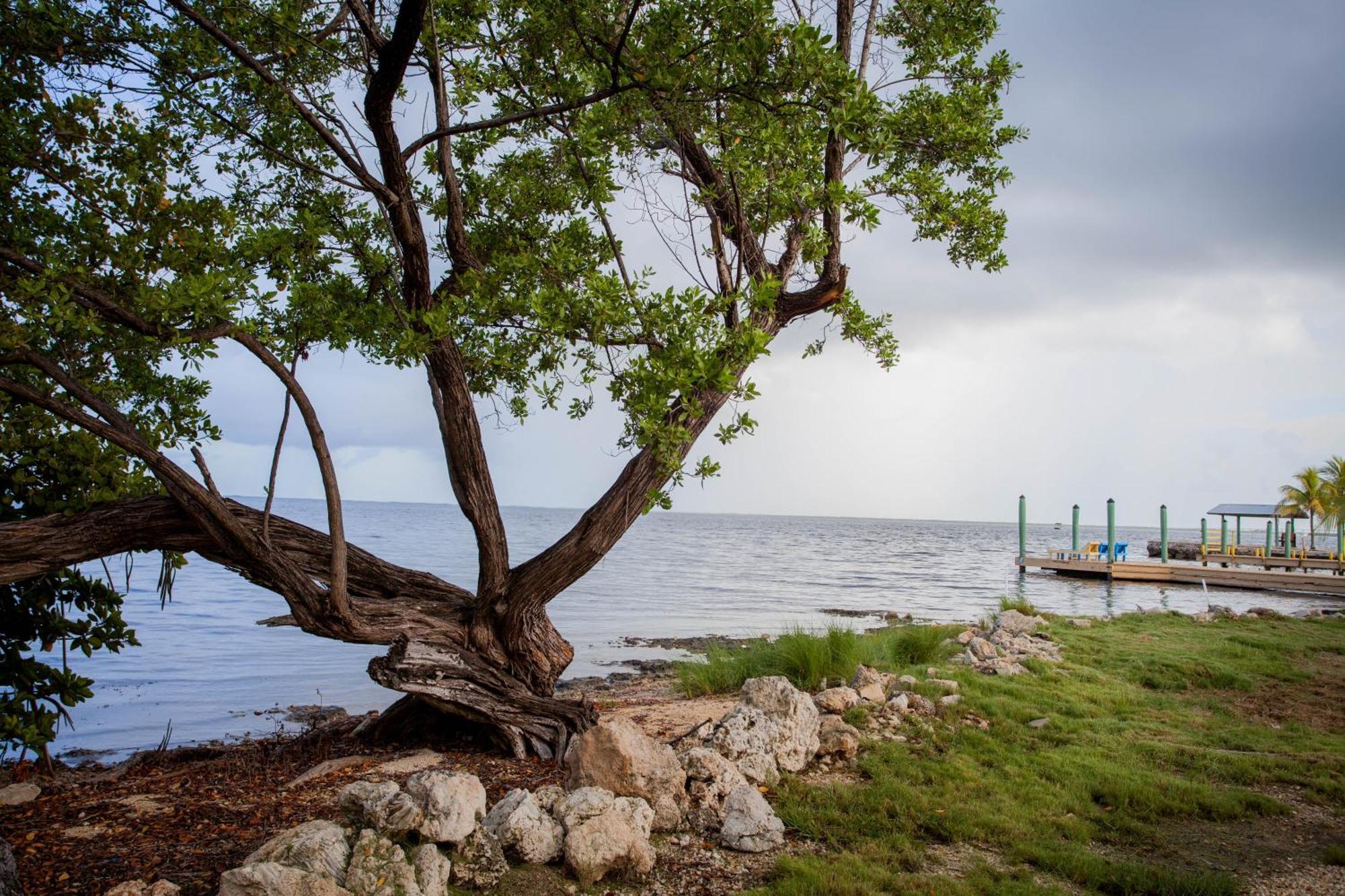 Kings Kamp Hotel Key Largo Buitenkant foto