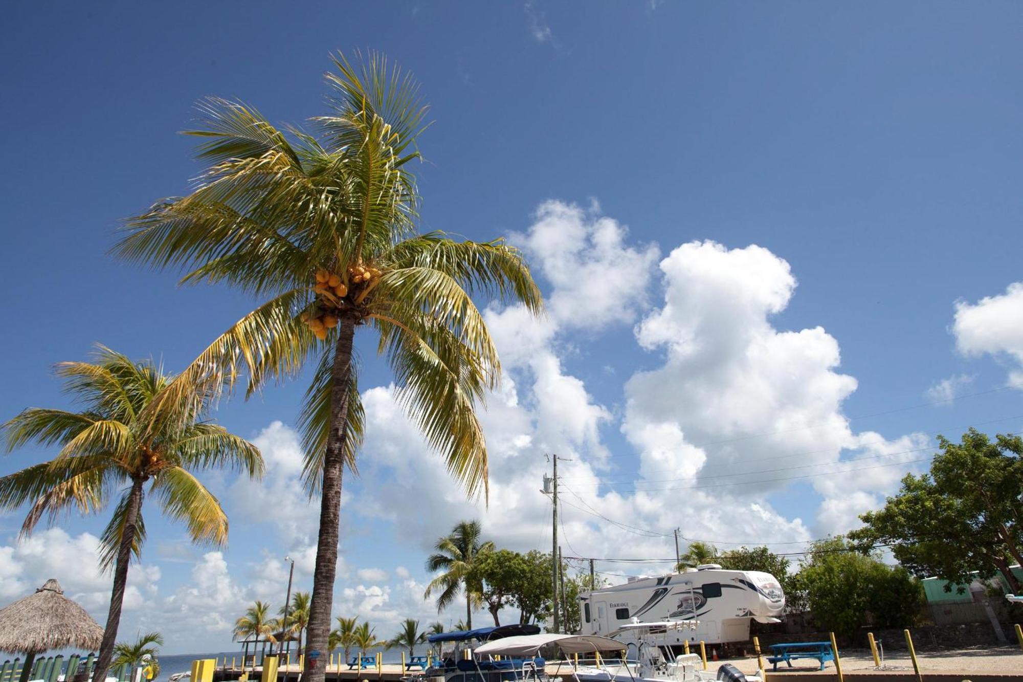 Kings Kamp Hotel Key Largo Buitenkant foto
